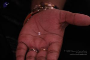 20110828 Photo 1130 1b1j-14nFmtLfjsAAkPTrYqPw70HXXk9v.JPG