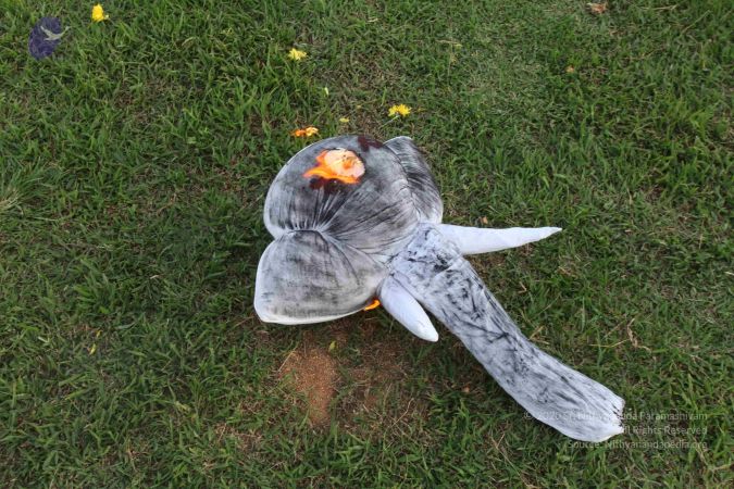 20110828 Photo 1146 1BPIMB2 u535j lHwI ZNe7O-uST 7PnS.JPG