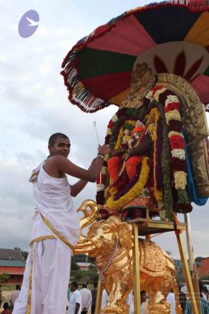 20110828 Photo 1153 1zbh3bcdUddhCsom5rGHOfO-o8USf9EjI.JPG