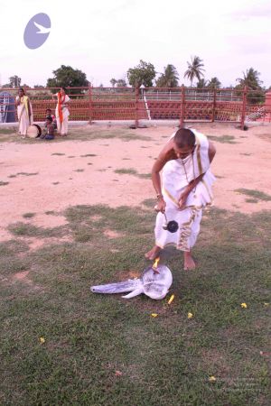 20110828 Photo 1164 1r0m2KqUxal8Cao24jPegrEyOsj0OgqQ5.JPG