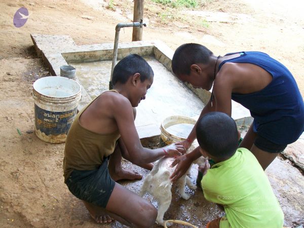 20110828 Photo 1338 1s3WS4qFWtPBFxmO4p7gcqWRMWk-bPpww.JPG