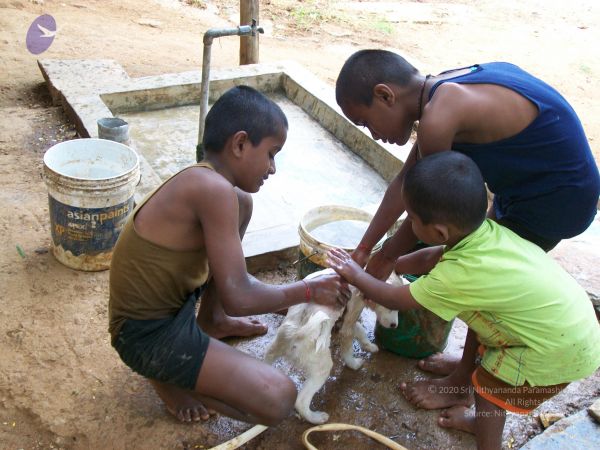 20110828 Photo 1339 12QKCGfAItNP5USg9Kj48ug4lDxlCyIw8.JPG