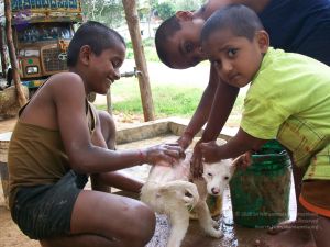 20110828 Photo 1340 1 zEpuTHyM6WModkkp8ARpBjGmue0lAsQ.JPG