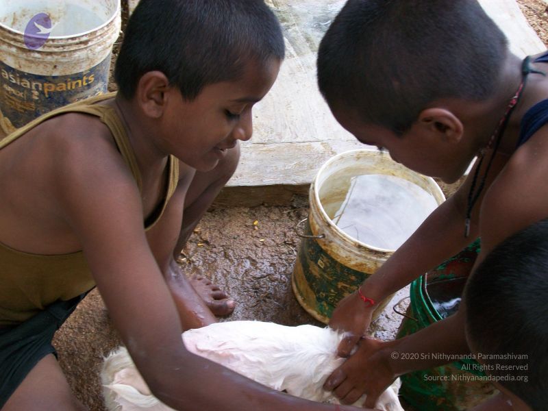 File:20110828 Photo 1342 1U4IQcar7QXvRNxZ7yhO19ijc IBzPGbM.JPG