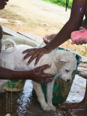 20110828 Photo 1343 1D5tUzZuXIBnzgR-sOA5GSTj2ZKHASYJO.JPG