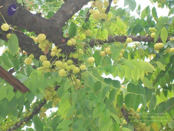 20110828 Photo 1371 1eQoIbpGOb6imDTk33IWL2UlO1NZUWFRM.JPG