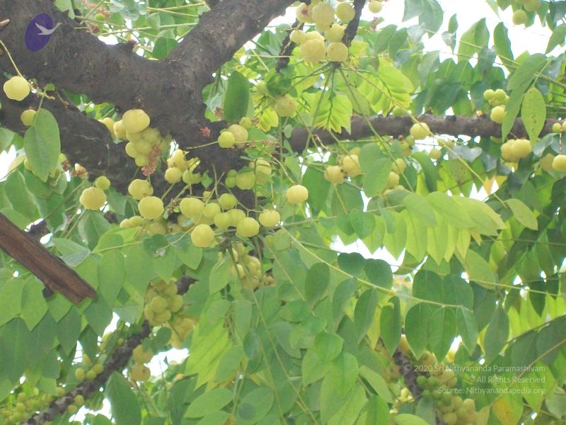 File:20110828 Photo 1371 1eQoIbpGOb6imDTk33IWL2UlO1NZUWFRM.JPG