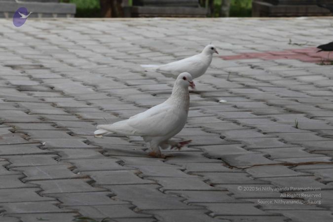 20110828 Photo 1390 1unoHbjXZxMumHMY30zmQg5IECIZp73rL.JPG