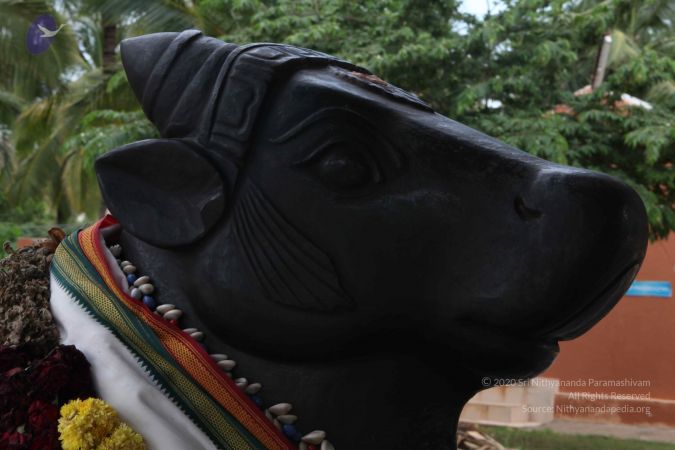 20110828 Photo 1395 11K4T7iLDiKhleXMJmIrqdaeisFAzpNLW.JPG