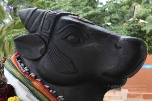 20110828 Photo 1396 1zTOWIJoPdIYyS8p-vKn y2w PA u7TZ7.JPG