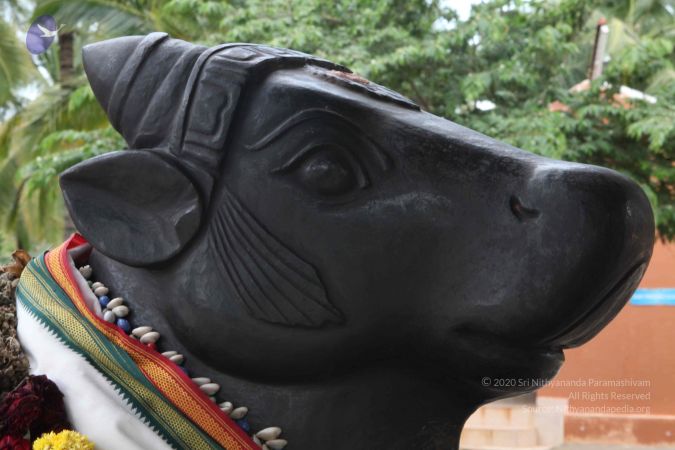 20110828 Photo 1396 1zTOWIJoPdIYyS8p-vKn y2w PA u7TZ7.JPG