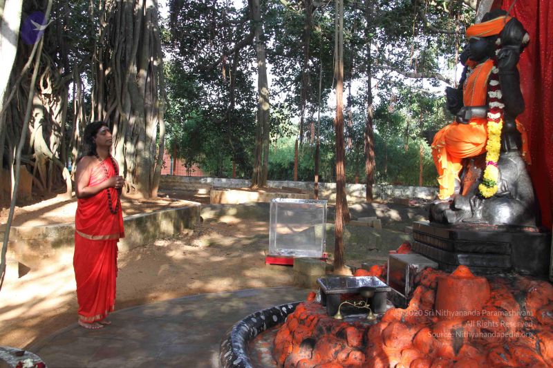 File:20110830 Photo 1019 1iosBsZpBs5di6KvSP4W1L2xH6RX4CE98.JPG