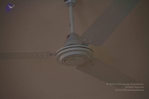 20110830 Photo 1071 1yITPHlwYg3x5Af KyL8it35m4g-WkaZp.JPG