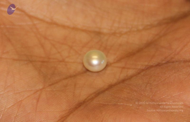 File:20110830 Photo 1257 1TSOIDAWGa-MemsuPFMHCF98lLOmvOx6O.JPG