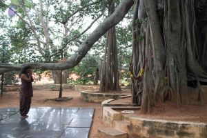 20110831 Photo 1001 1eSyTEynDBRIEALpMpdpkNfxT9MZY53Yn.JPG