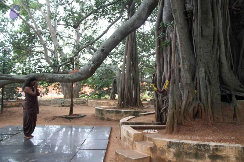 File:20110831 Photo 1001 1eSyTEynDBRIEALpMpdpkNfxT9MZY53Yn.JPG