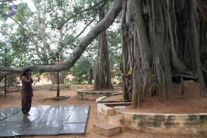 20110831 Photo 1003 1 JqGU4lXG6lx0KXPnHgsH0iR6PmyI6aW.JPG