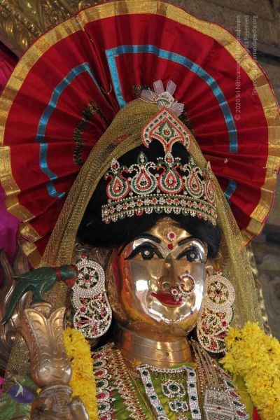 File:20110831 Photo 1050 1-Hgce0qJdHcsKAdYEzwnZiFsSmmIVwdj.JPG