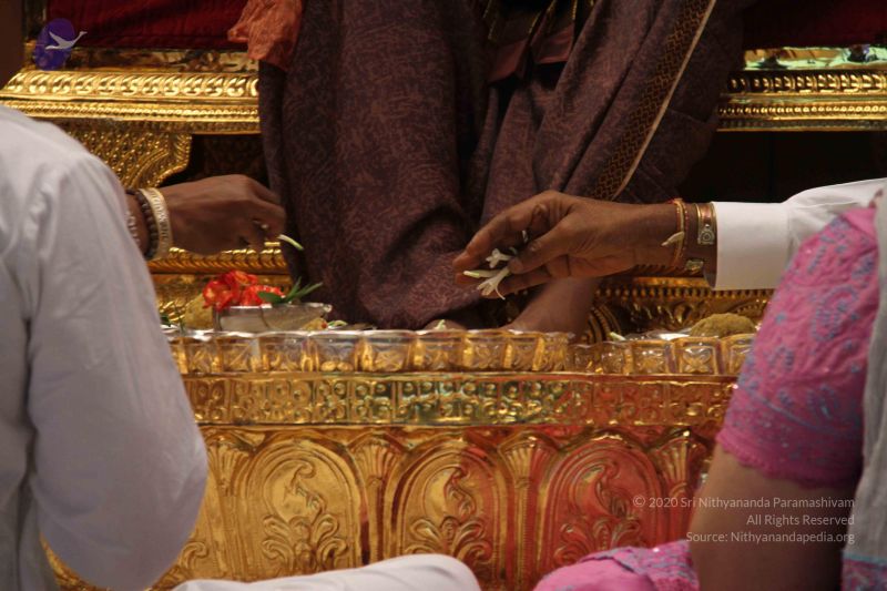 File:20110831 Photo 1059 1dwwHpAqrHD3DD7iu4H ZxTUKKH7a67KB.JPG