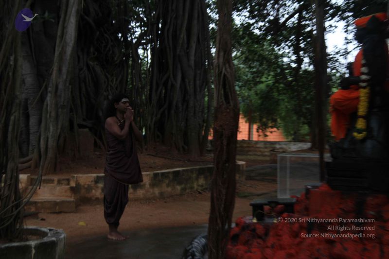 File:20110831 Photo 1074 10oUseazftT790dEL0M5YSgvQ-d6MPGx2.JPG