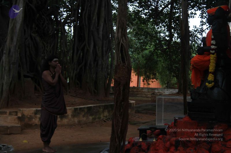 File:20110831 Photo 1075 1vFWBgFsHNjcoQOLn01iEgu7MXlRUlywW.JPG