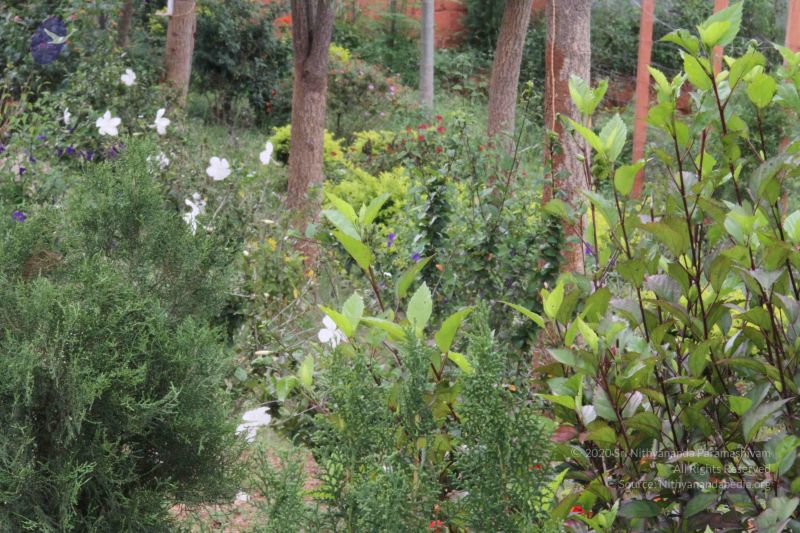 File:20110831 Photo 1330 1-X5sIlpb-ajAWyqFmuPZMCLjeEq8jrEl.JPG