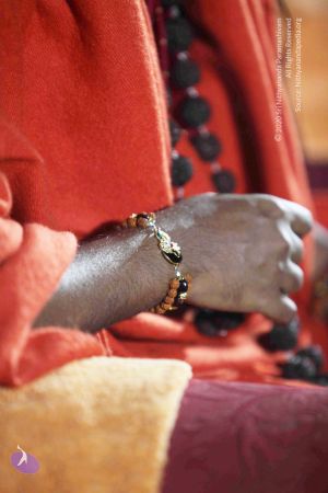 20110901 Photo 1070 1k3Ay5jSNCM-sgQlUbaUf4KrtFfev-pmw.JPG