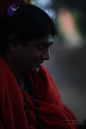 20110901 Photo 1585 1qp1H6oTZeUTqqTTfjCHQOwSRUavC1JFn.JPG