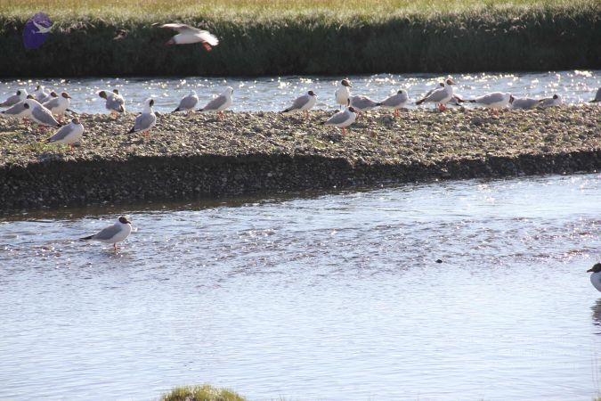 20110901 Photo 1776 1b2RV0jnrm34sDreuDqx4-KoE76N373Is.JPG