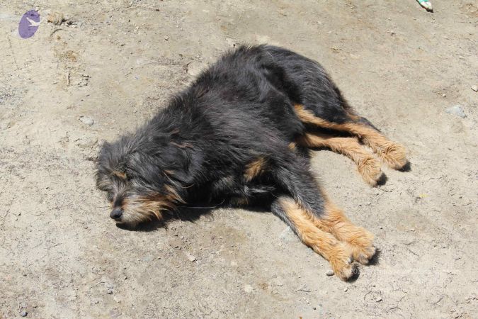 20110901 Photo 1862 1Prg1avUykBjIwTO4rcbhO1OuS1w6KG6M.JPG