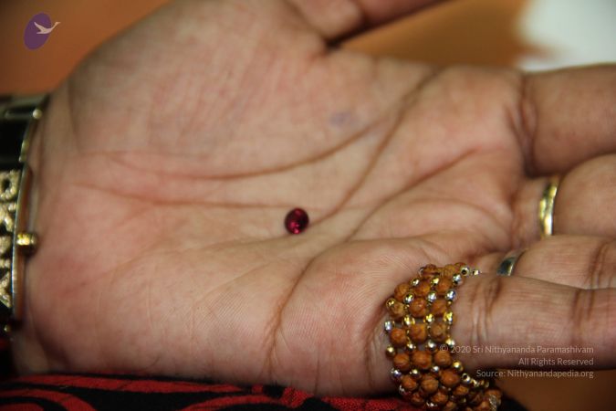 20110901 Photo 2043 1naFX-b4h5L2er9dc4Ou0GD-n0zuRp8nV.JPG