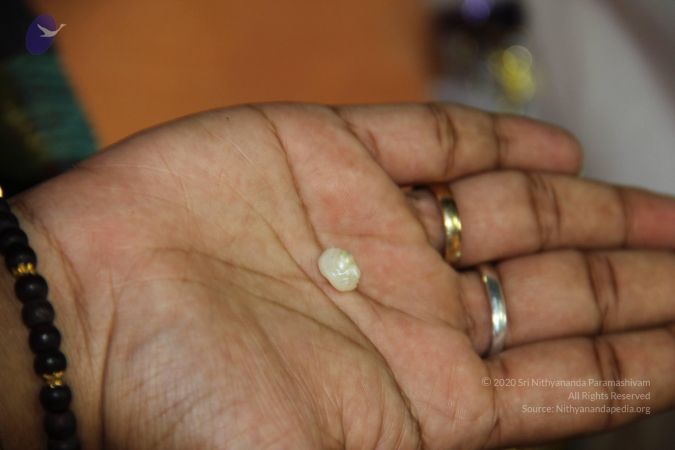 20110901 Photo 2080 1-B9Rox5jXJA3P-yZiPE8IMGZufH78Z6G.JPG