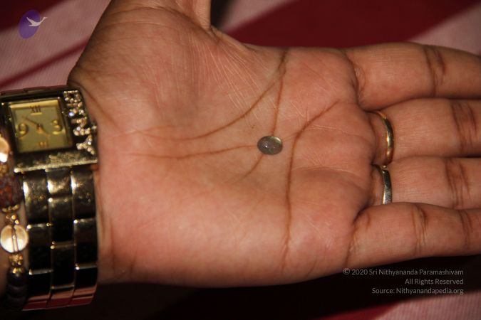 20110901 Photo 2139 17LOk7JY24R7U FCVqrNuNhI9qZV8o6nP.JPG