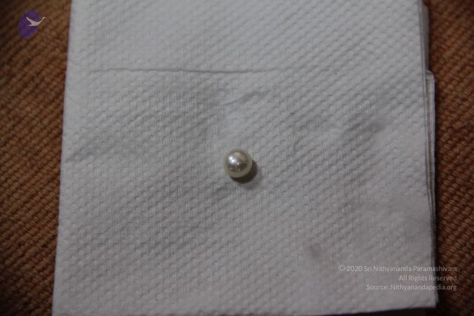 20110901 Photo 2231 1WJGbExdC2TqFab6n670ca56BmKy9kCEk.JPG