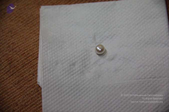 20110901 Photo 2257 1a0NxfOzq-nfGvyfAW5pQDVtYkFaO2I2a.JPG