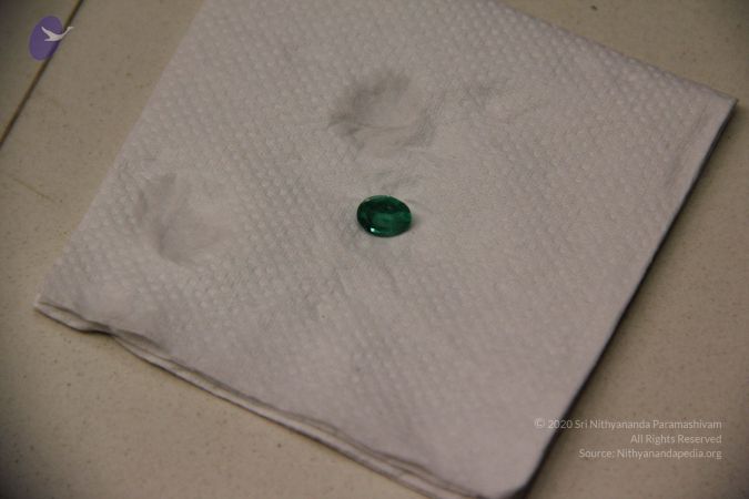 20110901 Photo 2289 1ymdvNysWm3djoh5bAAngqbUVOUYqSo72.JPG