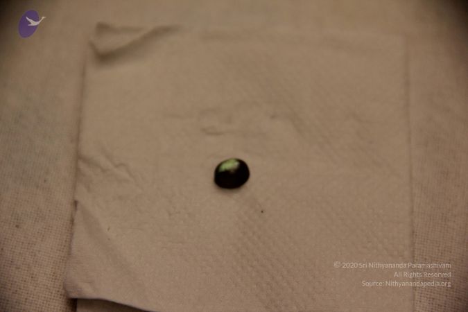 20110901 Photo 2389 1dcetdwdlewZjCT4RY4hH8bxStY5DLGxN.JPG