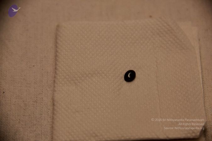 20110901 Photo 2407 1kcr3X6QtlM-OhfaUx22OTNW7rxgCHyW5.JPG