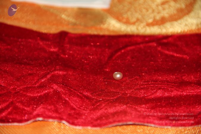 20110901 Photo 2480 1RhCxtT bu-L7EyK6jcTu30PHfQyb-T4v.JPG