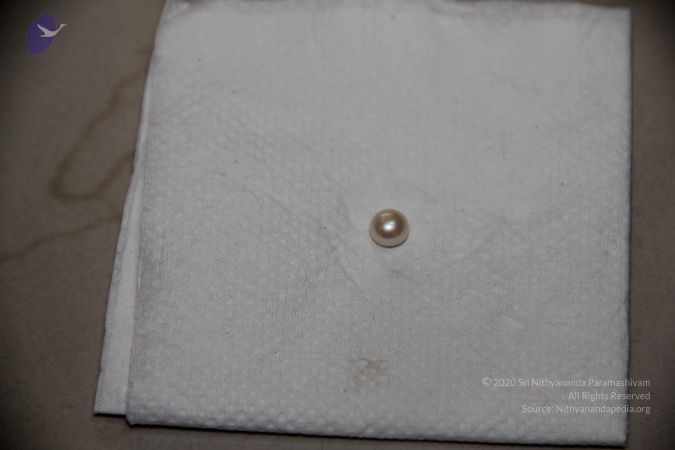 20110901 Photo 2522 1rGLq rAtseAg1SxD2Syzvh7AlaTa78wV.JPG