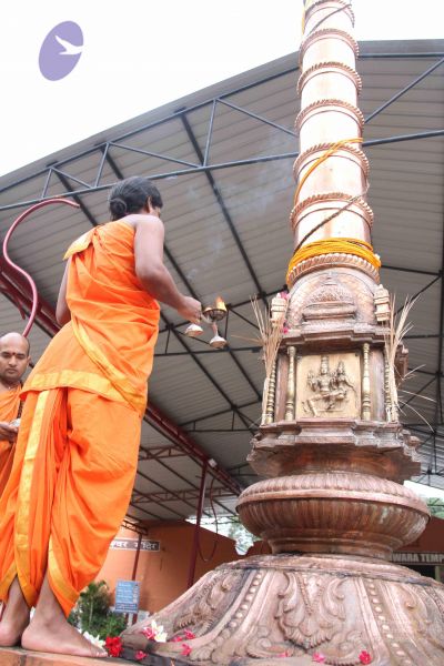 File:20110902 Photo 1036 1XmwbU i8HUnMdQS9WGhLY N-BZDDO08t.JPG