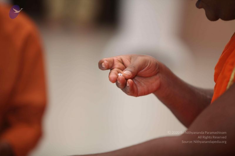 File:20110903 Photo 1325 1mj-1bg-rOknWvF43FdeUNk1V2ZAHmha7.JPG