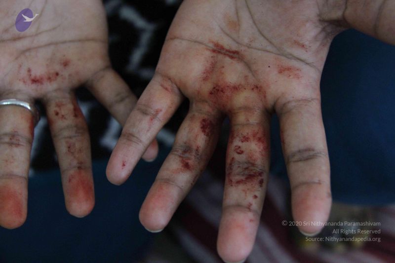 File:20110906 Photo 1000 1dZpv4mqzGo8DLd6Cw-cOy-P15rN-x3ht.JPG