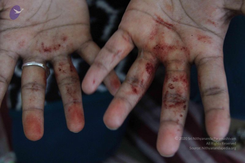 File:20110906 Photo 1001 1MtxbpTjE485fuBAUR5PLcNOBKOn0eb2H.JPG