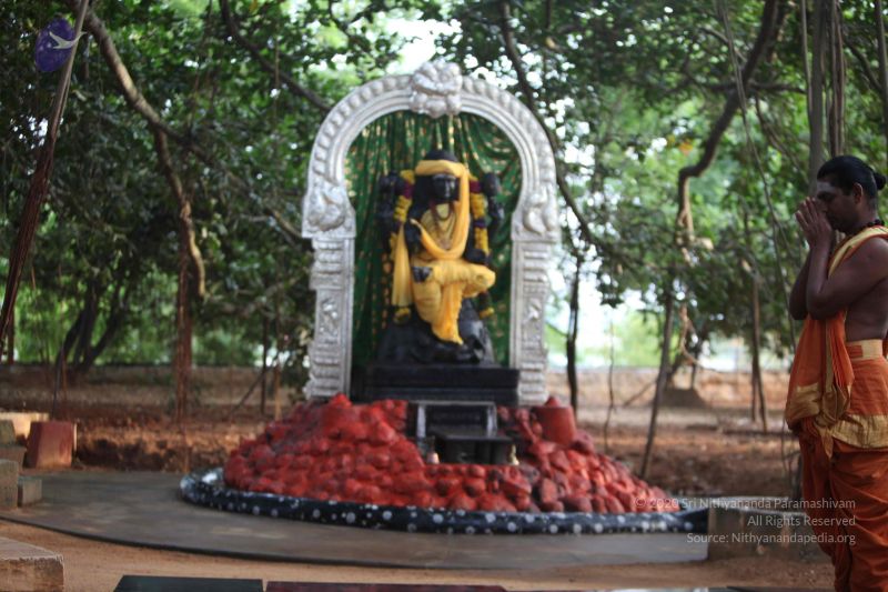 File:20110906 Photo 1023 1fnXzYS 2EbGaOSAXXGU th3WTu0wpJ8V.JPG