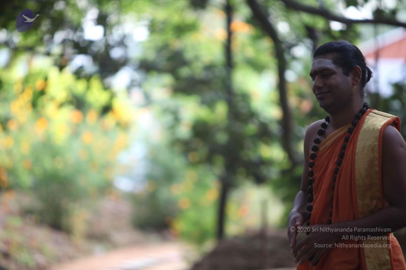 File:20110906 Photo 1026 1mXxdSX8I5NLr57q4VLvh2LveC4KZKObl.JPG