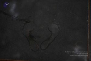 20110906 Photo 1027 1eoRCqxj8URoiyDcUHW02 LDCk7Fv7z-q.JPG