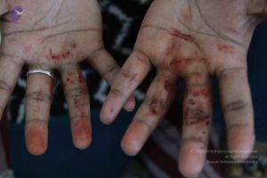 20110906 Photo 1062 1W2q7tb4w11ZmAbIMWVYxkxlybU7PyMWv.JPG