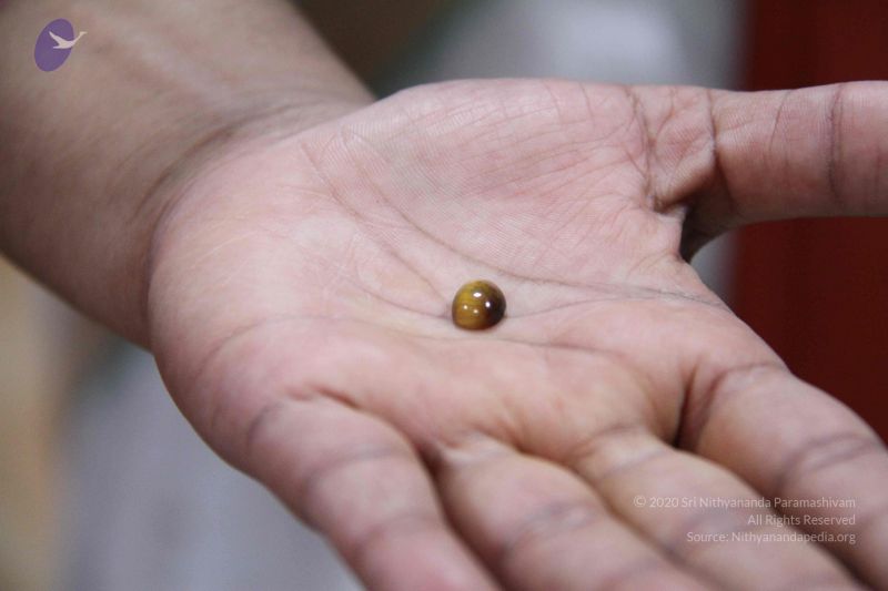 File:20110906 Photo 1083 1bbRZY7scTRYTBrVEkV9KNOnEf9KyB-uT.JPG