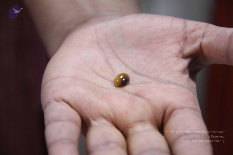 File:20110906 Photo 1084 1TeOh efARcZN1YwePKleBG5RG3wBU2nf.JPG